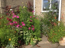 The Brave Babes Battle Bus - Soaking Up The Warm Sunshine, Instead Of The Warm White Wine!