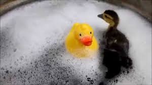 Swagger Inn Thread 111. Yes, that's 110, 000 posts & *still* trending.