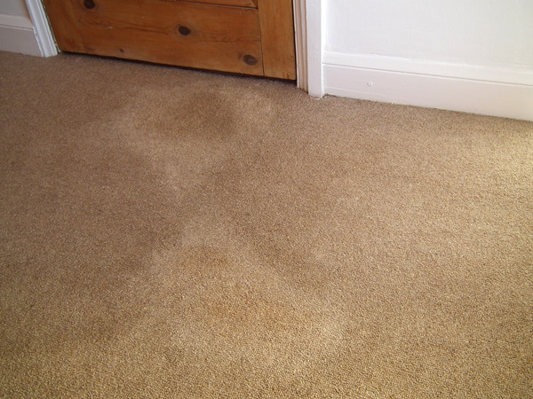 Please help I've ruined my carpet!!