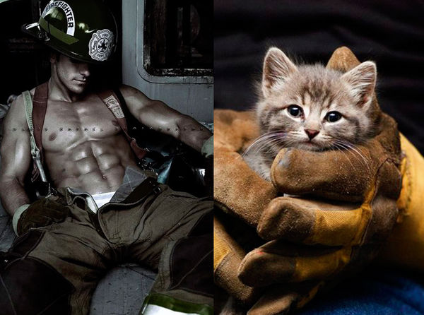 Swagger Inn Thread 110. Duvet watch 2015, highbrow literary discussions and hbfs amongst other things