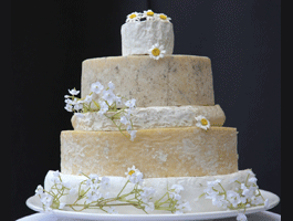 to eat all the cheese?