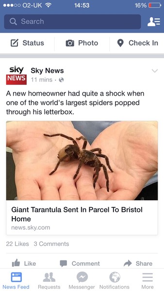 to kill all the spiders?