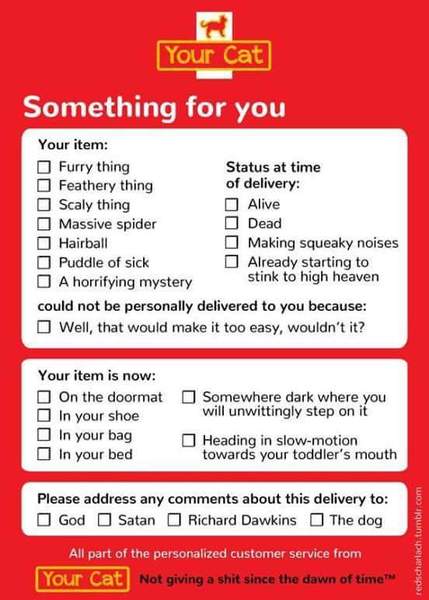 Whilst the rest of us chowed down on runny eggs and shellfish, deeply sneezed out a baby!...It's superb scans all around and only the occasional nose-vom on JS Grads 38!