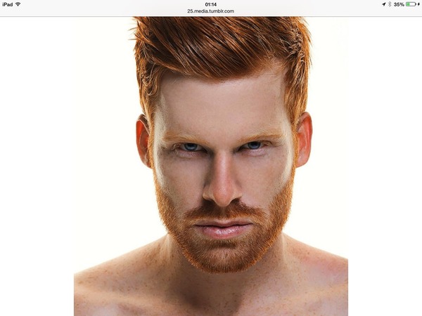 To think Prince Harry is a bit yummy!!
