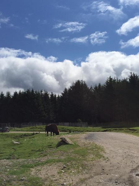 Family holidays: A high life in the Scottish Highlands