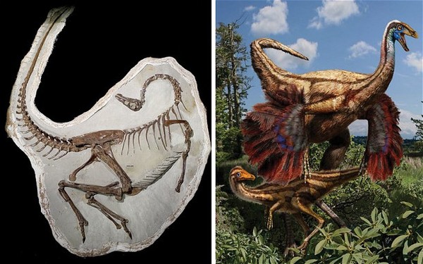 I'm not convinced about dinosaurs