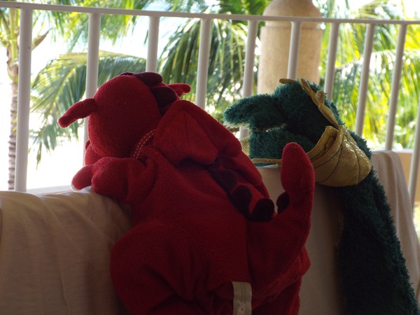 Do your DC have a question for Cressida Cowell? Join our webchat on Saturday 26 September, 10:30am