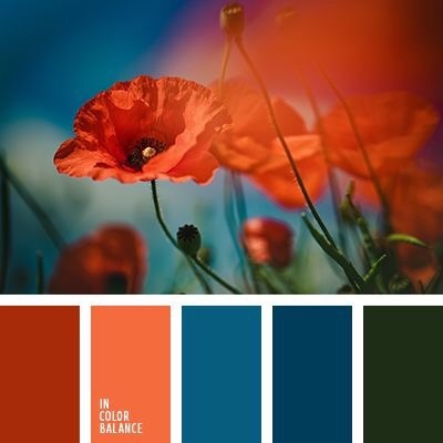 We promised to re-paint DD's room if she did a thorough tidy up, and now she wants it to be orange and blue.