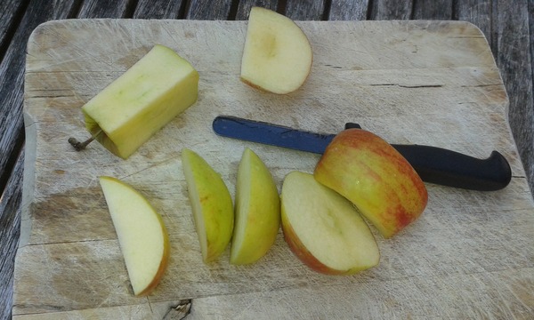 Not to cut up apples for an 8 year old