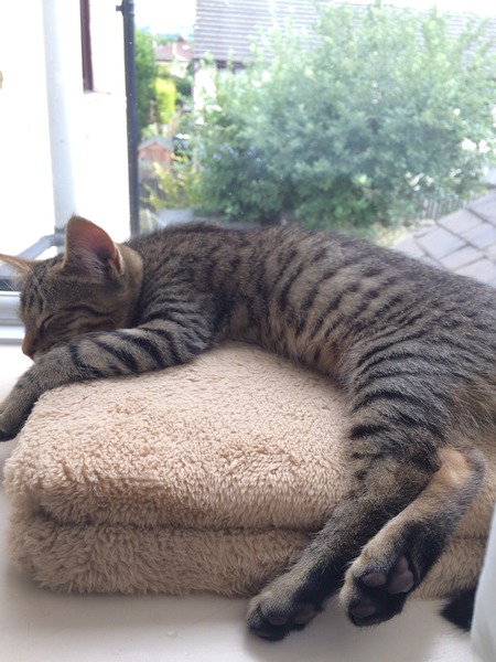 New boy - name suggestions please?