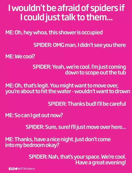 to kill all the spiders?