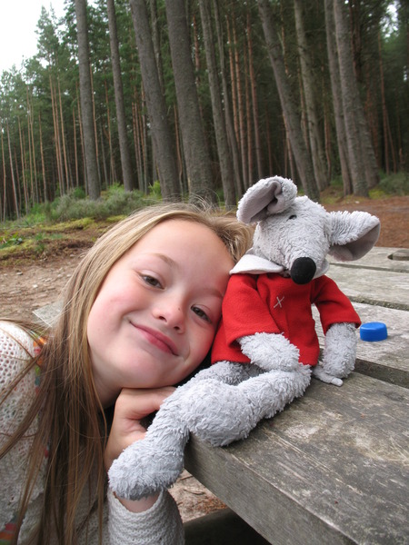Missing Cuddly Toy