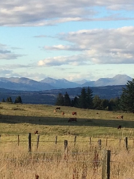 August 2015 - Let the Sleepless Nights Commence