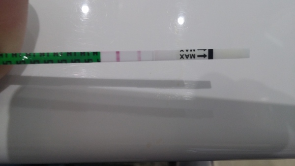 Over 40s TTC & success stories.