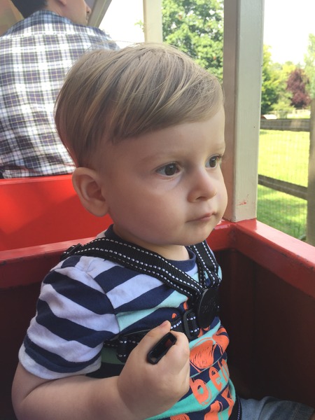 DD has a double crown, her hair is a nightmare!! Help!