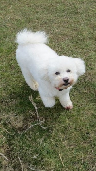 Oh Shagging Gods Grant us our Wish, A Newborn so Tiny to Squish, By Shagging like Stars, Or with Jizz in our Bras, To the Disco in a Petri Dish...it's JS 53!