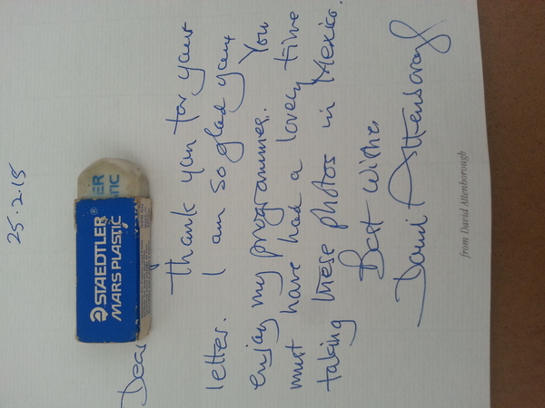 to kill all the spiders?