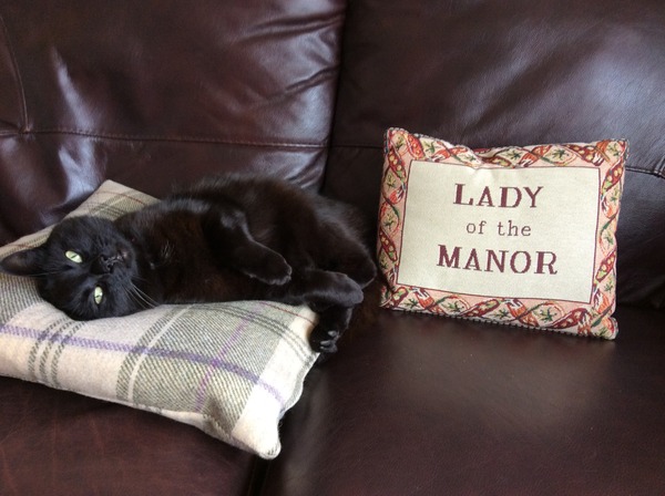 Oh Shagging Gods Grant us our Wish, A Newborn so Tiny to Squish, By Shagging like Stars, Or with Jizz in our Bras, To the Disco in a Petri Dish...it's JS 53!