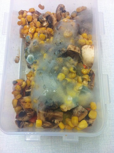 Dirty scutter in the office (pics)