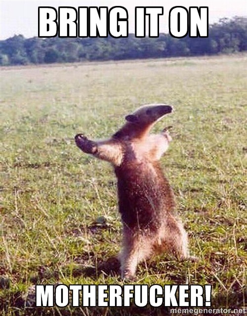 to start a bunfight thread?