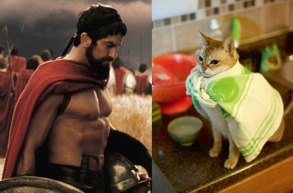 Swagger Inn Thread 110. Duvet watch 2015, highbrow literary discussions and hbfs amongst other things