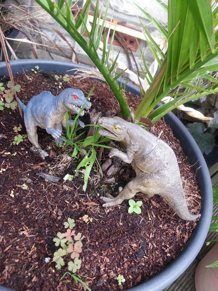 to kill all the spiders?