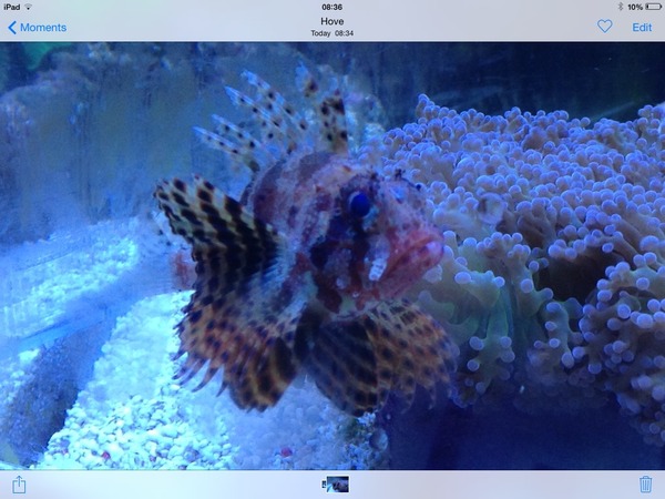 Any reefers out there?