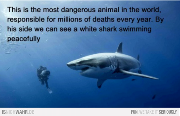 WHOA! British Official Warning Public: Stock up on food, water, canned goods & cash – enough to survive 1 month – Banks may CLOSE(Stock meltdown)