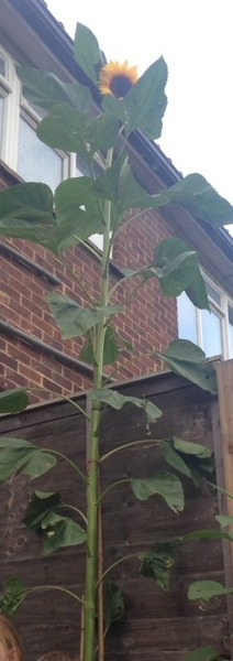 The super savvy savers continue steering their way through September