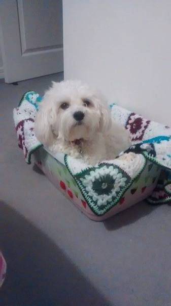 Oh Shagging Gods Grant us our Wish, A Newborn so Tiny to Squish, By Shagging like Stars, Or with Jizz in our Bras, To the Disco in a Petri Dish...it's JS 53!