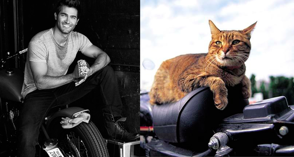 Swagger Inn Thread 109. The Back to School & Back to Wenching Thread