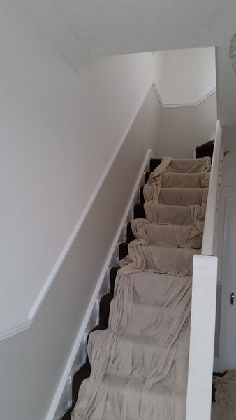 Looking for a warm white paint (to go with dark blue/greyish tiles) dulux, valspar or any available from b&q please