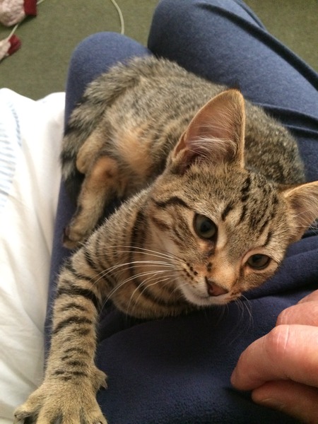 New boy - name suggestions please?