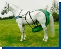 To think that riders should have to clean up horse mess?