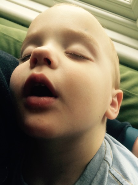 June 2013: Here come the terrible twos!