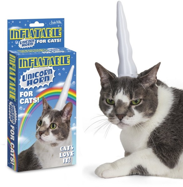 Would I be mad to buy cat clothing