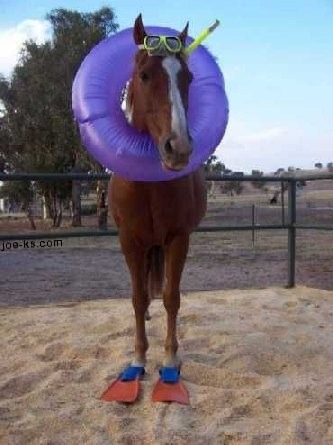 Why would anyone consider going to Rugby school better than the mixed local comp?