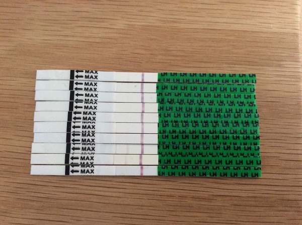 Would you be my Infertility/Clomid/Follicle tracking friend please?!