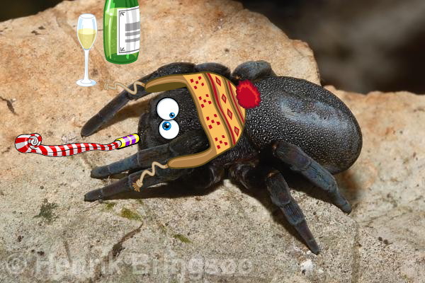 to kill all the spiders?