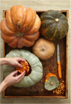 Liz Earle Wellbeing Article: Pumpkin Power!