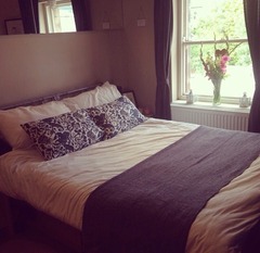 Have any of you painted a room dark blue?