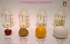 New to breastfeeding - help please