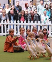 WIN family ticket to Countryside Raceday, Sandown Park Racecourse