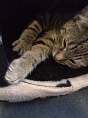 New boy - name suggestions please?