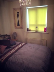 To think blinds at the window are just pug ugly and to vow never to have any?