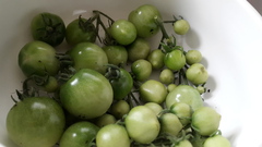 What would you do with these tomatoes? [photo]