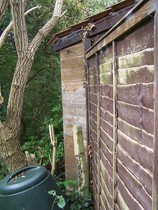 Help! Potential boundary issues with potential new neighbours...pics included