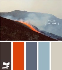 We promised to re-paint DD's room if she did a thorough tidy up, and now she wants it to be orange and blue.