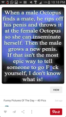 taadaa shiny new gastrostomy support thread no.3 tube feeding support