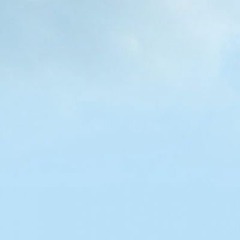 What colour walls with this stair carpet?